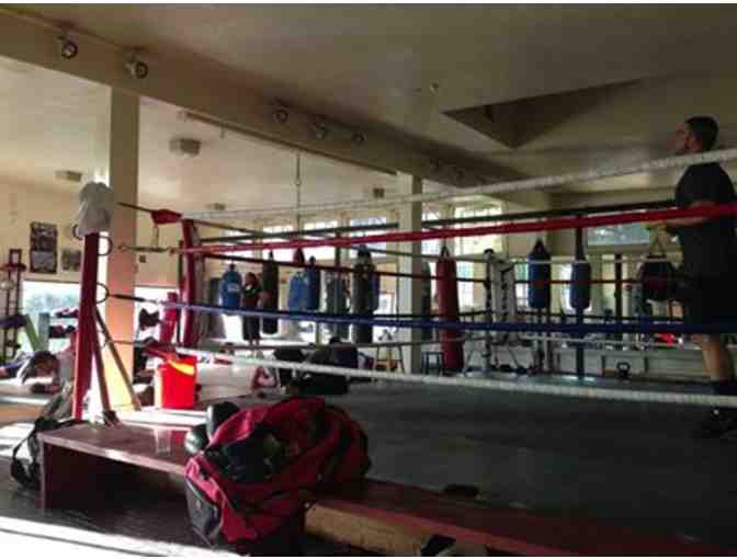 Pass for Ten Classes at Boxing for Health in Oakland