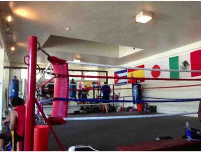 Pass for Ten Classes at Boxing for Health in Oakland