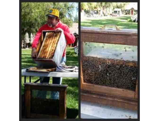 A Beekeeping Workshop with Honey and Wine Tasting for Two in Livermore