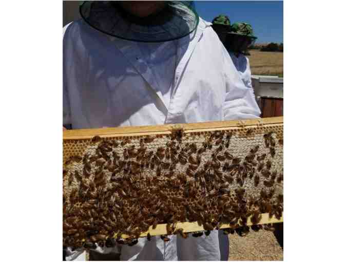 Advanced Beekeeping Workshop with Honey and Wine Tasting for Two in Livermore