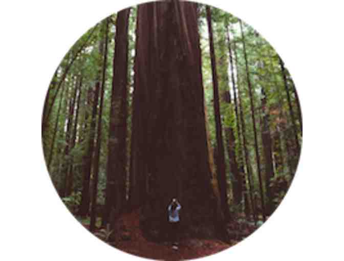 Two Tickets for "Best Day in San Francisco and Muir Woods Tour" - Photo 11
