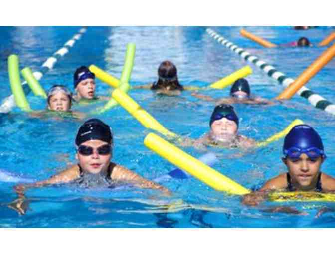 Four Weekly Swim Lessons at AquaTech Swim School in Alameda or Concord