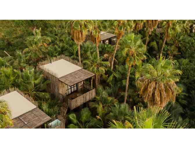 Treehouse Hotel in Mexico - 3-Night Stay