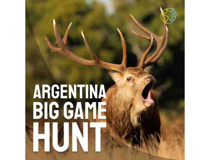 Argentina Big Game Hunt for 4 Hunters - Photo 1