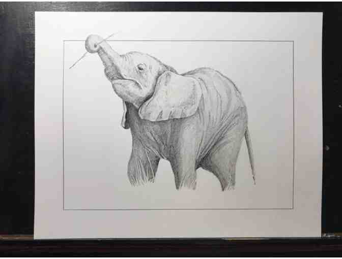 Baby Elephant Drawing - Original - Photo 1