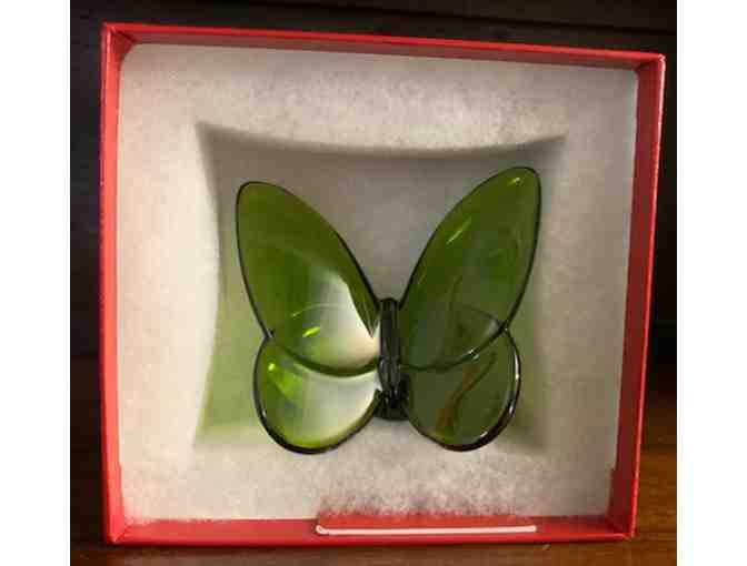 Baccarat Crystal Butterfly - Moss Green