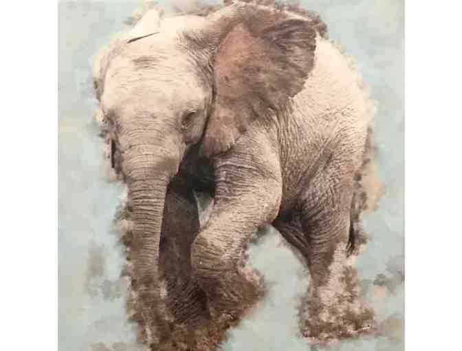 Baby African Elephant Print - Photo 1