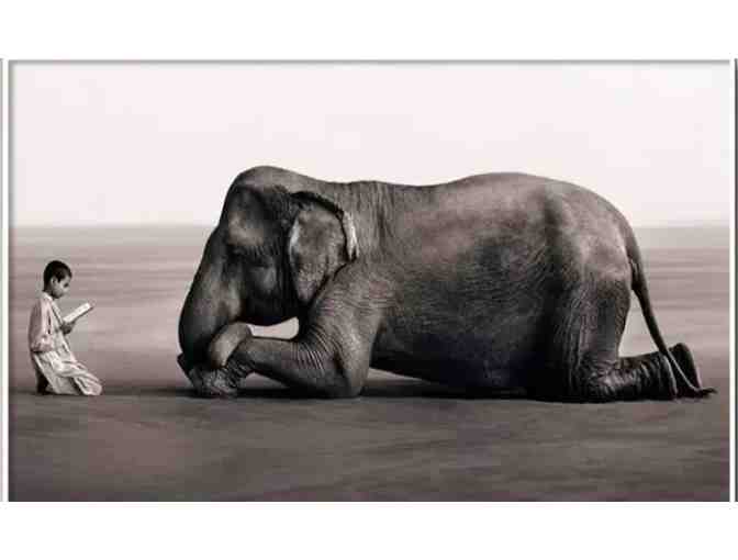 "Boy Reading to Elephant" Print - Photo 1