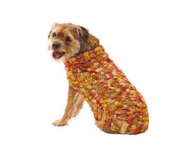 Comfy 3-Piece Dog Fashion Bundle
