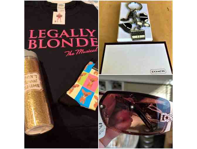 Legally Blonde Party Pack