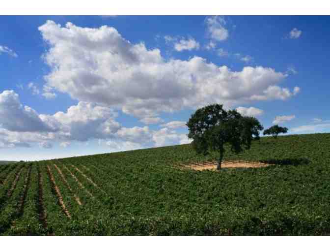 J. LOHR VINEYARDS & WINES IN PASO ROBLES, CA - TOUR & BARREL TASTING FOR EIGHT