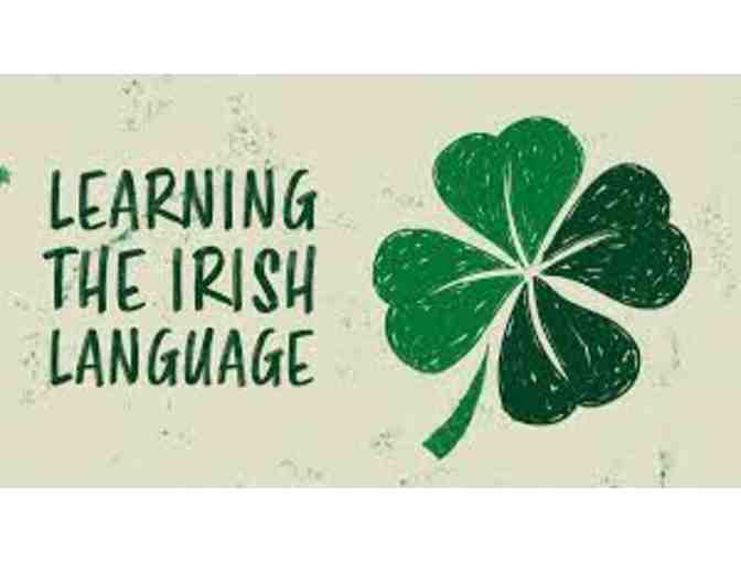 Learn Gaeilge with Maitiu - Photo 1