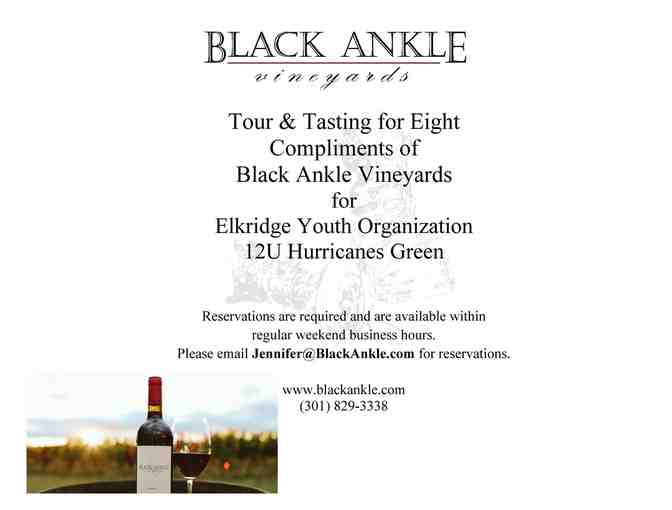 Black Ankle Winery Tour and Tasting