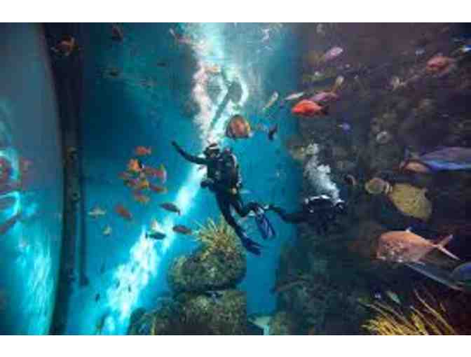 Aquarium of the Pacific (Long Beach)- 2 Admissions