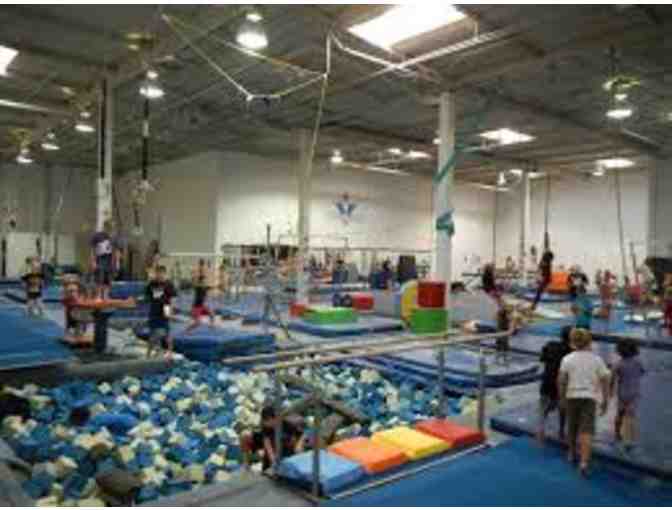 Victory Gymnastics- 1 Week of Summer Camp (1/2 day or full day)!