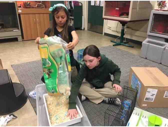 Life Science Lab - Create a new exhibit for one of our animals - 1 hour long - Photo 1