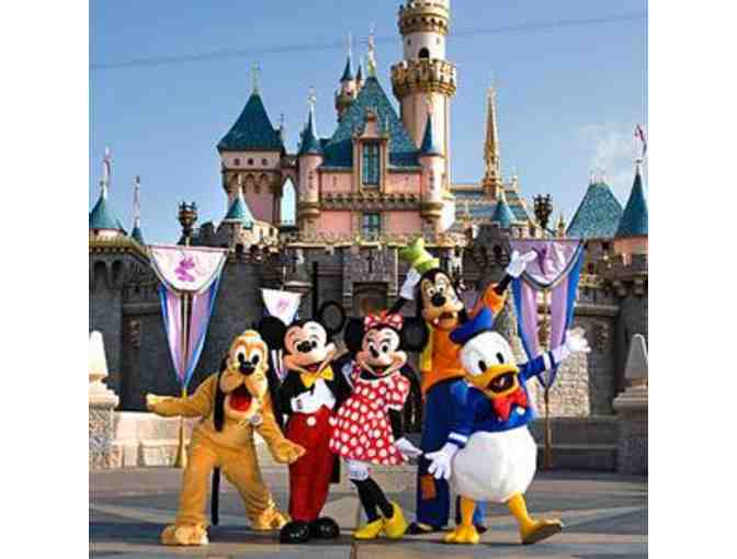 Disneyland-4 Tickets