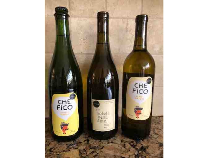 Scout and Cellar - White Wine Assortment