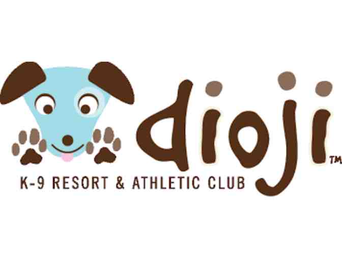 Dioji: 1 Day of Doggie Day Care (1 of 2)