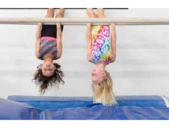 Monarchs Gymnastics-1 Free Month of Gymnastics Classes - Photo 2