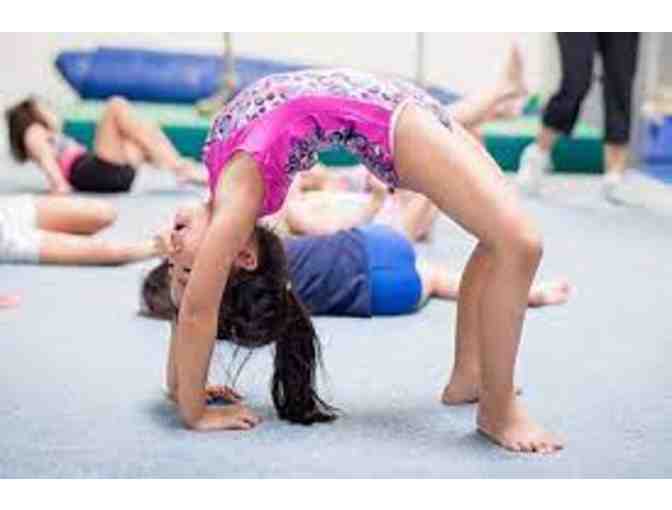Monarchs Gymnastics-1 Free Month of Gymnastics Classes - Photo 3