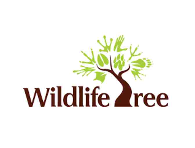 Wildlife Tree- RED PANDA Stuffed Animal edZOOcation Gift Box!