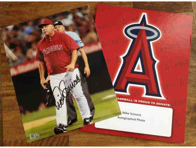 Angels Baseball - Mike Scioscia Autographed Photo