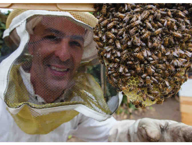 Hekimian Backyard Honey