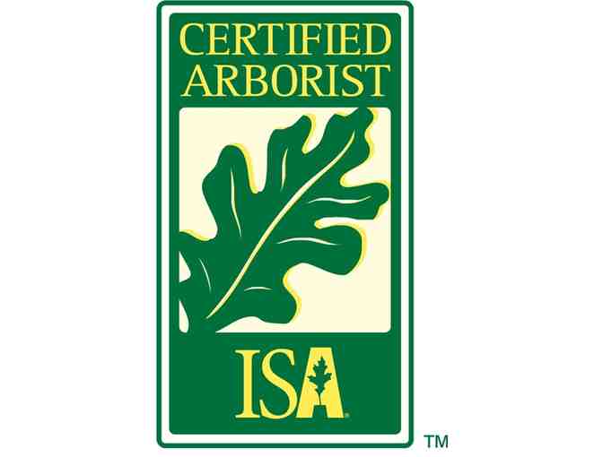 2 Hour Consultation with Certified Arborist