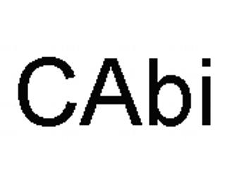 Khaki Jacket by CAbi Size 8