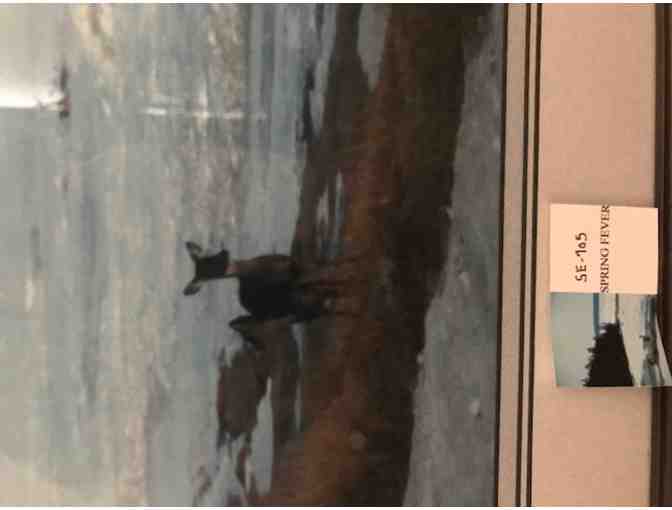 'Spring Fever' Print