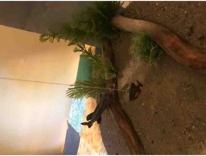 Hand Carved and Handcrafted Ice Fishing Shanty