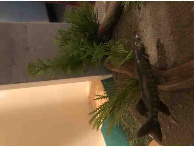 Hand Carved and Handcrafted Ice Fishing Shanty