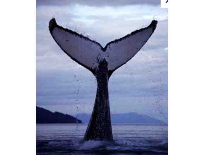 Monterey Bay Whale Watching Tour for Two