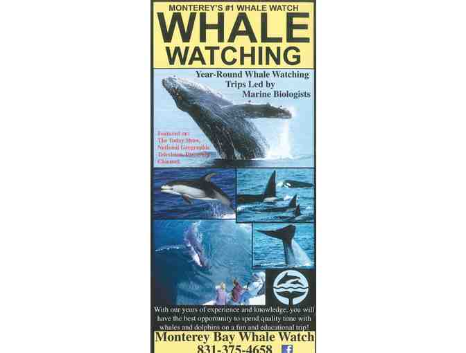 Monterey Bay Whale Watching Tour for Two
