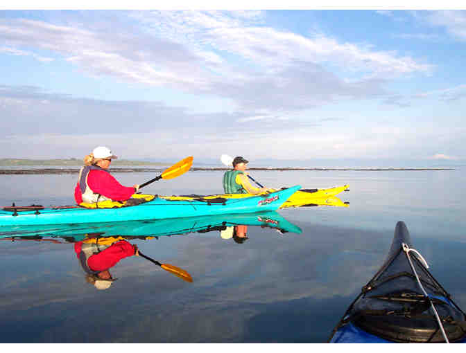 A Half-Day Double Kayak Adventure In Santa Cruz or Moss Landing