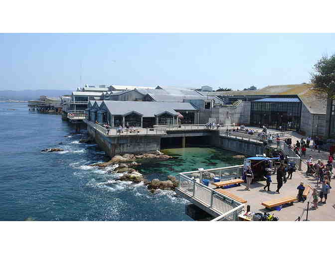 Four Passes to the Monterey Bay Aquarium including a Behind-the-Scenes Tour