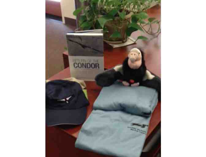 Two-Hour Big Sur Condor Viewing Tour+ Book+ 2 caps+ 2 T-Shirts+ Condor stuffed animal