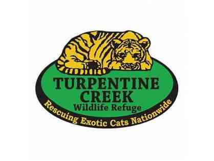 Big Cat Getaway at Turpentine Creek Safari Lodge
