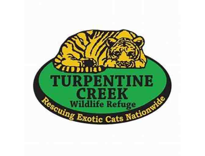 Big Cat Getaway at Turpentine Creek Safari Lodge - Photo 1