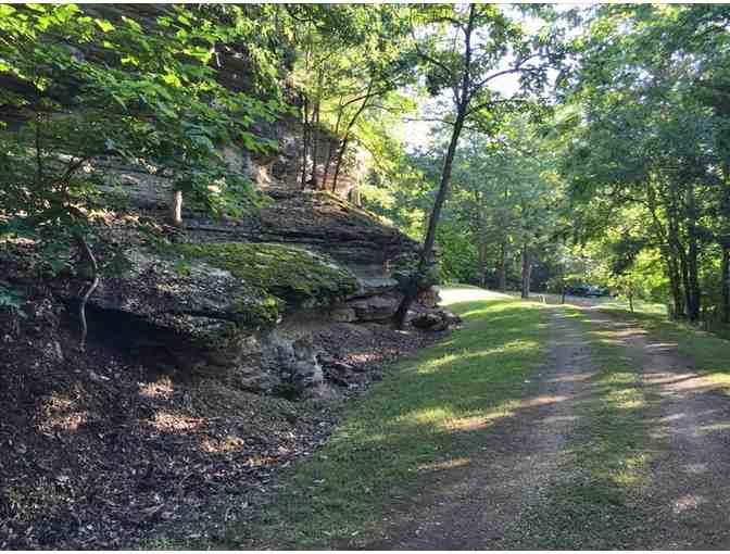 Secluded Nature Get Away - Ozark Spring Cabins near Beaver Lake