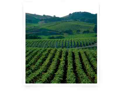 Napa Valley Weekend for 2 pers (lot3) - Unique Experience with top French winemakers