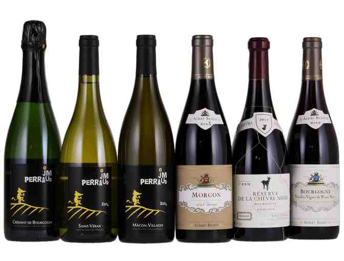 Peloton Imports: Taste of Burgundy