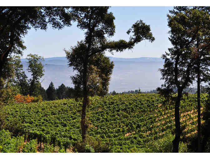 VGS Chateau Potelle - Unique barrel wine tasting experience for 2 (lot 4)