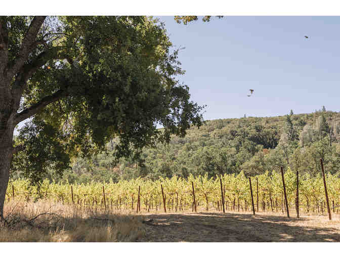 Reinvigorating getaway: 2 nights in a Trappeur Tent for up to 5 people