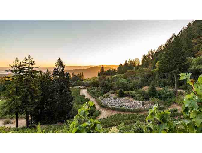 Signature Food & Wine Experience with VGS Chateau Potelle