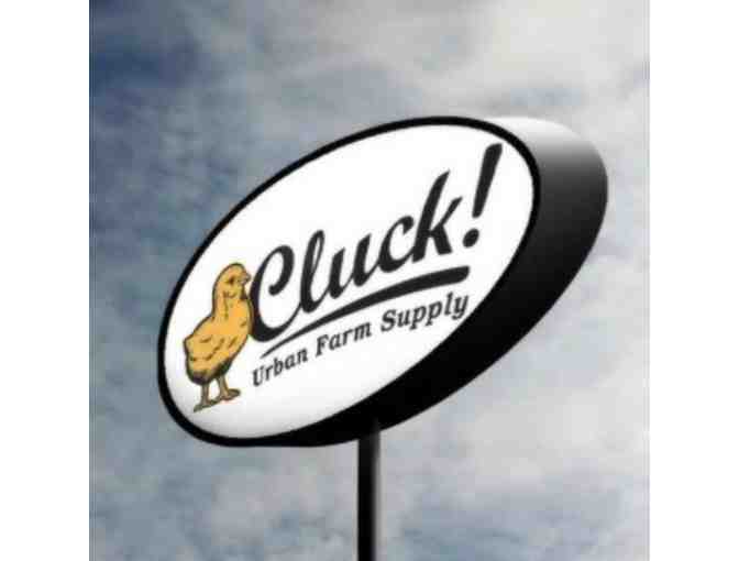Cluck! How to Keep Chickens in Your Back Yard session