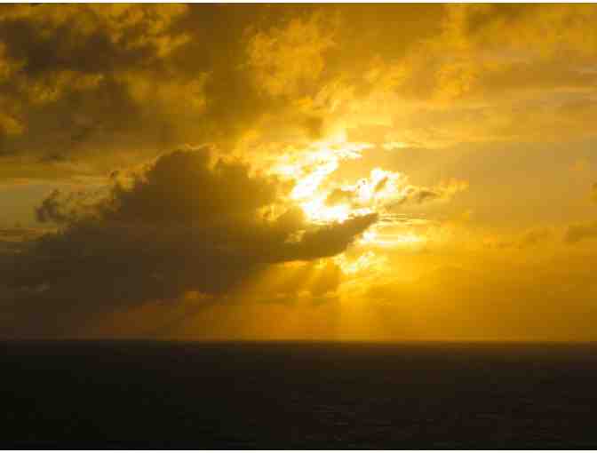 'Golden Light' custom framed photograph By Paul Doherty