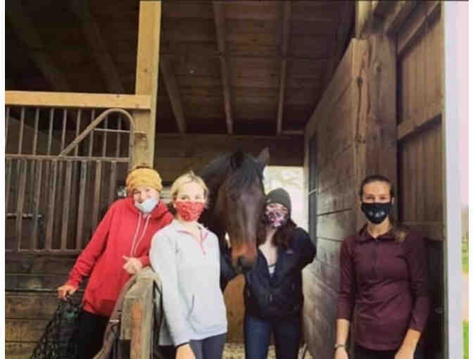 One Hour Horseback Riding Lesson