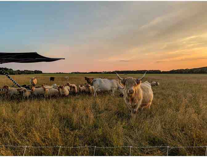 Private Dinner Party at Slough Farm with Island Author Bill Eville